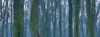 panoramas